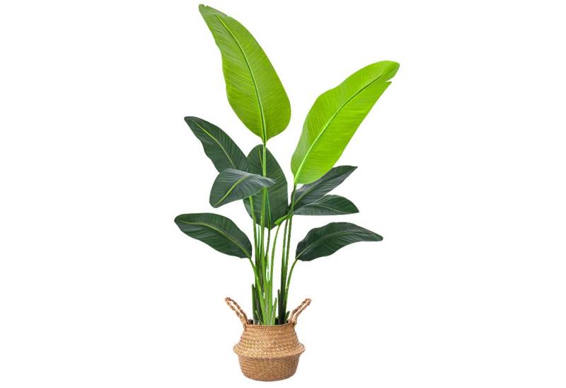 Künstliche Zimmerpflanze Künstl. Paradiesvogel, 9 Blätter, für Innen/Außen (1 Pack), DAKYAM, Höhe 160 cm, Umweltfreundlich von DAKYAM