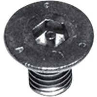 Dallmer Sicherheitsschrauben M 6x10 von DALLMER