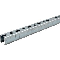 Montageschiene 28/30, Schienenkonsole Silber 200cm, Lochschiene, C-Profilschiene, U-Schiene, u.a. zur Bildung von Traversen - 200cm, 1 Stück - Dalsys von DALSYS