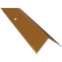 Dalsys Treppenkantenprofil Vinyl, Laminat zum Schrauben, Winkelprofil aus Aluminium eloxiert - Gold 100cm x 42mm x 20mm, 10 Stück - Gold von DALSYS