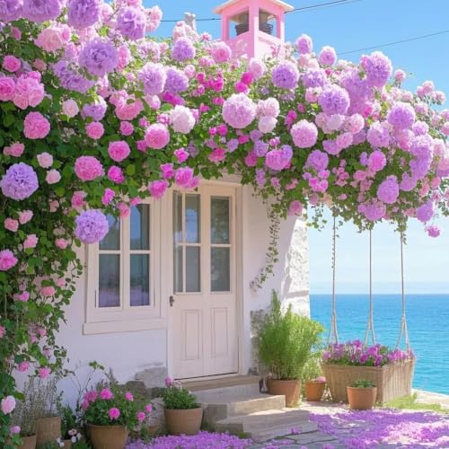 500 SAMEN KLETTERROSE -LILA - ROSA - KLETTER-ROSE WINTERHART & DUFTEND - CLIMBING ROSE HARDY & SCENTED - PFLANZEN IN TOP QUALITäT (500 Körner) von DAMAICHUHAI