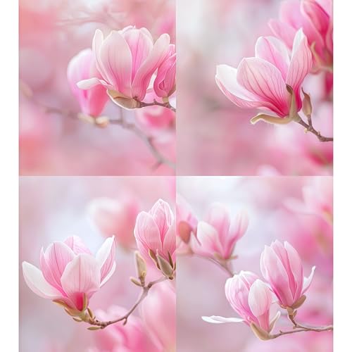 DAMAICHUHAI 100 Rosa Magnoliensamen, Geeignet Für Balkone, Gartenecken Und Baumschulen. Große, Farbenfrohe Blüten Mit Leichtem Duft. Ideal Für Die Frühjahrsaussaat Und Hoher Zierwert. von DAMAICHUHAI