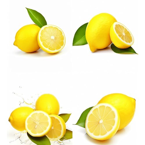 Damaichuhai 100 Hochwertige Zitronensamen, Geeignet Für Gartenkübel Und Balkonbepflanzung, Hohe Keimrate, Frisch Und Prall, Pflegeleicht von DAMAICHUHAI