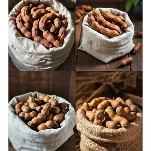 Damaichuhai 20 Tamarindensamen, Geeignet Für Den Garten Und Balkon. Süß-Saurer, Fruchtiger Geschmack. Einfach Anzubauen Und Zu Überleben. Damaichuhai 20 Tamarindensamen, Geeignet Für Den Garten Und Balkon. Süß-Saurer, Fruchtiger Geschmack. Einfach Anzubauen Und Zu Überleben. von DAMAICHUHAI