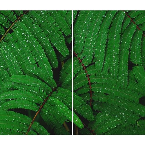 DAMU | Herdabdeckplatte 2teilig 2x30x52 Herdabdeckung Ceranfeld Glasschneideplatte Ceranfeldabdeckung Herdplattenabdeckung Kochfeld Abdeckung Schneidebrett Glasplatte GrĂĽn Blumen von DAMU