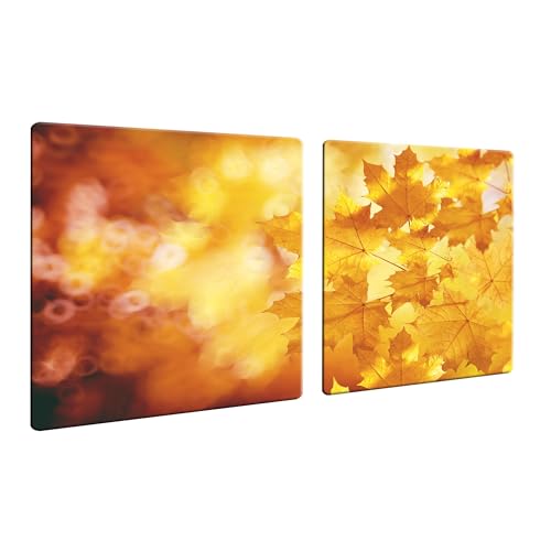 DAMU | Herdabdeckplatte 2teilig 2x40x52 Herdabdeckung Ceranfeld Glasschneideplatte Ceranfeldabdeckung 80x52 Herdplattenabdeckung Kochfeld Abdeckung Schneidebrett Glasplatte Herbst Blatt von DAMU