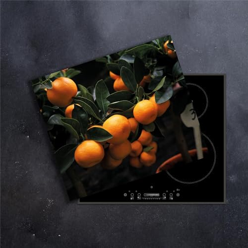 DAMU | Herdabdeckplatte Einteilig 60x52 Herdabdeckung Ceranfeld Glasschneideplatte Ceranfeldabdeckung Herdplattenabdeckung Kochfeld Abdeckung Schneidebrett Glasplatte KĂĽche orange Obst von DAMU