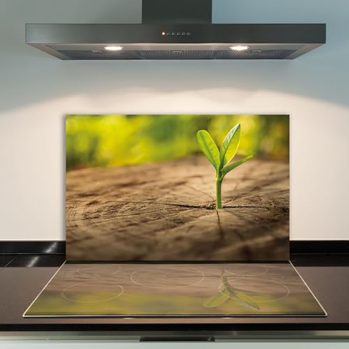 DAMU | Herdabdeckplatte Einteilig 80x52 Herdabdeckung Ceranfeld Glasschneideplatte Ceranfeldabdeckung Herdplattenabdeckung Kochfeld Abdeckung Schneidebrett Glasplatte Holz Blatt Braun GrĂĽn DAMU | Herdabdeckplatte Einteilig 80x52 Herdabdeckung Ceranfeld Glasschneideplatte Ceranfeldabdeckung Herdplattenabdeckung Kochfeld Abdeckung Schneidebrett Glasplatte Holz Blatt Braun GrĂĽn von DAMU