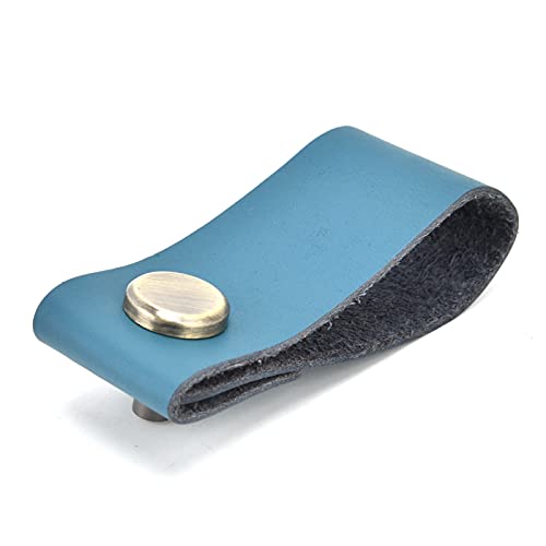 DANAIXZ Künstlicher Ledergriff Griff einzelner Lochschrank Ziehen Sie Moderne Garderobe Griff Zinklegierung versteckter Türgriff für Schubladen Schränke Schränke 19.5x2,8 cm langlebige (Blau) von DANAIXZ