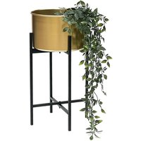 Dandibo - Blumenhocker mit Topf Gold Metall Schwarz 50 cm Blumenständer 96527 Pflanzenständer Blumensäule Modern Pflanzenhocker von DANDIBO