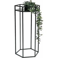 DanDiBo Blumenhocker Metall Schwarz 6eck 70 cm Blumenständer Blumensäule 96453 L Pflanzenhocker Modern Pflanzenständer DanDiBo Blumenhocker Metall Schwarz 6eck 70 cm Blumenständer Blumensäule 96453 L Pflanzenhocker Modern Pflanzenständer von DANDIBO