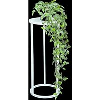 DanDiBo Blumenhocker Metall Weiß Rund 50 cm Blumenständer Beistelltisch 96483 S Blumensäule Modern Pflanzenständer Pflanzenhocker DanDiBo Blumenhocker Metall Weiß Rund 50 cm Blumenständer Beistelltisch 96483 S Blumensäule Modern Pflanzenständer Pflanzenhocker von DANDIBO