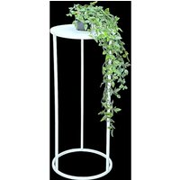 DanDiBo Blumenhocker Metall Weiß Rund 70 cm Blumenständer Beistelltisch 96483 L Blumensäule Modern Pflanzenständer Pflanzenhocker DanDiBo Blumenhocker Metall Weiß Rund 70 cm Blumenständer Beistelltisch 96483 L Blumensäule Modern Pflanzenständer Pflanzenhocker von DANDIBO