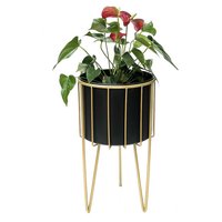 DanDiBo Blumenhocker mit Topf Metall Gold Schwarz Rund L 45 cm Blumenständer 96039 Blumensäule Modern Pflanzenständer Pflanzenhocker von DANDIBO