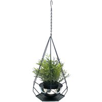 Dandibo - Blumenampel Innen Metall Wand Hängepflanzen 59 cm 96095 s mit Topf 6 Ecken Pflanzenhänger Blumenhänger Topfhänger Blumen Blumentopfhänger von DANDIBO