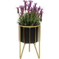 Dandibo - Blumenhocker mit Topf Metall Gold Schwarz Rund s 32 cm Blumenständer 96039 Blumensäule Modern Pflanzenständer Pflanzenhocker von DANDIBO