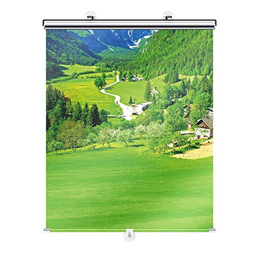 DANEXT Sonnenschutz Rollo Verdunkelungsrollo,Thermo Rollo Verdunklungsstoff Verdunkelung ohne Bohren Hitzeschutzrollo mit Saugnäpfen,Für Auto,Büro,Balkon,Dachfenster,Tragbare Reise (68×125cm/27×49in) von DANEXT