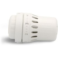 Thermostatkopf raw 5010 mit Fühler, Serviceelement, 8 - 28 °c von DANFOSS