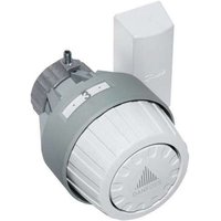 Thermostat Kopf ra 2922 Behördenmodell 2m Fernfühler 013G2922 - Danfoss von DANFOSS