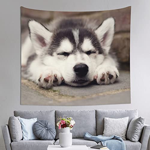 Husky Wandteppich für Hunde, 152,4 x 130,3 cm, Druck-Wandteppich für Zuhause, Schlafzimmer, Wohnheim, Dekoration von DANLIM