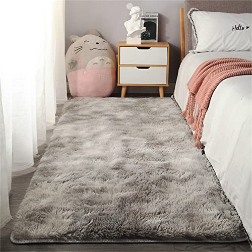 DANWU Teppich Modern 100x200cm Super Soft Küchenvorleger Waschbar für Wohnzimmer, Esszimmer, Schlafzimmer oder Kinderzimmer, Hellgrau von DANWU