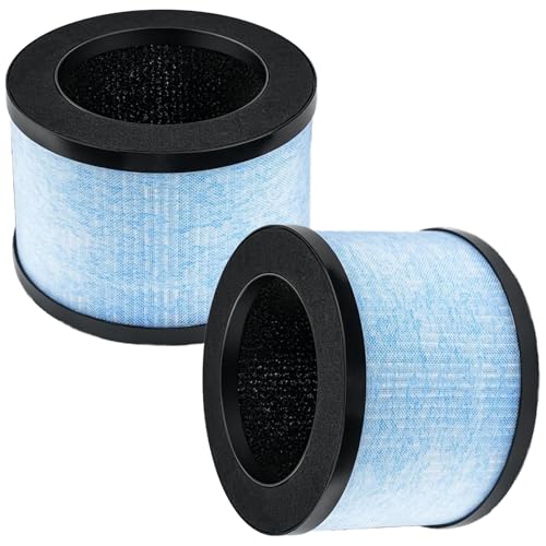 Ersatzfilter für CONOPU DH-JH01 & DH-JH06 Luftreiniger, 3-in-1, H13 True Hepa mit Hocheffizienter Aktivkohle und Vorfilter Ersatz Filter (2 Stück) von DAODEFUL