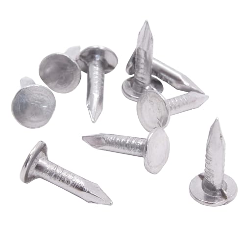 DAPRONA Dachpappennägel, Dachpappstift, Pappnägel 20mm, 2,5kg Silber von DAPRONA