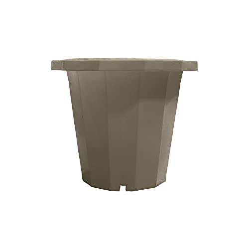 DARE WIN STORE XXL Rio Blumentopf, rund, 125 l von DARE WIN STORE