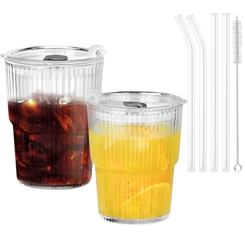 DARENYI 2 Stück 400ml Glasbecher mit Deckel und Strohhalm,Smoothie Becher aus Glas,Glas Smoothie Becher mit Strohhalm,Eiskaffee Gläser,Luftdicht Wasserdicht Design Glasbecher Set,für Saft,Kaffee DARENYI 2 Stück 400ml Glasbecher mit Deckel und Strohhalm,Smoothie Becher aus Glas,Glas Smoothie Becher mit Strohhalm,Eiskaffee Gläser,Luftdicht Wasserdicht Design Glasbecher Set,für Saft,Kaffee von DARENYI