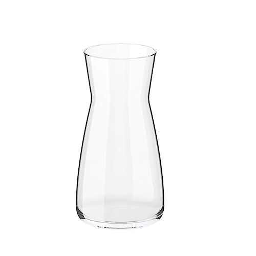 DARENYI Vase Glas Blumenvase 20cm Vasen Deko Neon Klar Glasvase für Wohnzimmer, Schlafzimmer, Büro, Hochzeit von DARENYI