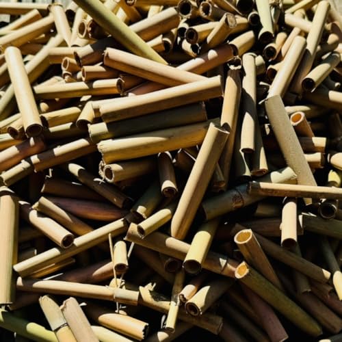 DARLUX 1000 x Bambusröhrchen I Nisthilfe für Wildbienen I Insektenhotel Füllmaterial 6 und 8 mm Ø I 80 mm I Naturbelassen I Bambusstäbe für Insekten Bambus von DARLUX