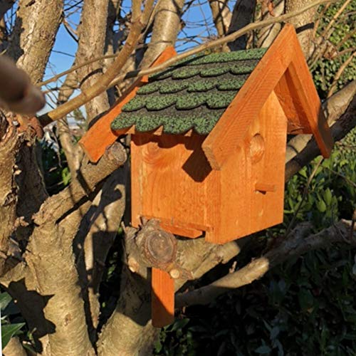 DARLUX Holz Nistkasten für draußen, Nisthaus Brutstätte für kleine Singvögel Braun und verschiedenen Bitum Farben (Grün - Braun) von DARLUX