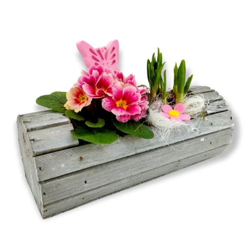 DARO DEKO Holz Blumentopf mit Einsatz grau Fass 30 x 11cm Pflanzschale bepflanzen Pflanz-Gefäß von DARO DEKO