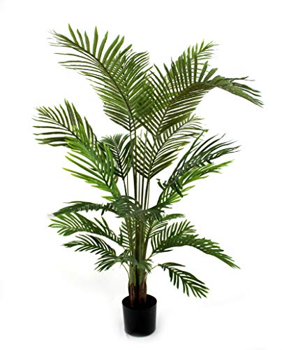 DARO DEKO Kunst-Pflanze Areca-Palme im schwarzen Topf 150cm von DARO DEKO