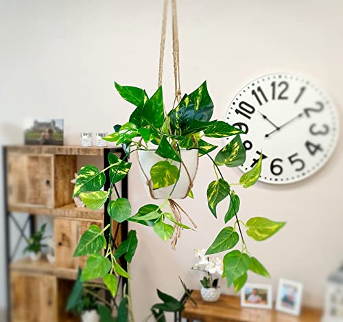 DARO DEKO Kunst-Pflanze Efeutute Blumenampel Makramee Hängetopf grün 30 x 68cm künstliche Hängepflanze Kunstblume DARO DEKO Kunst-Pflanze Efeutute Blumenampel Makramee Hängetopf grün 30 x 68cm künstliche Hängepflanze Kunstblume von DARO DEKO