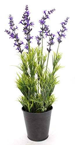 DARO DEKO Kunst-Pflanze Lavendel mit Metall-Topf Ø 14cm x 40cm 1 Stück DARO DEKO Kunst-Pflanze Lavendel mit Metall-Topf Ø 14cm x 40cm 1 Stück von DARO DEKO