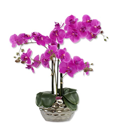 DARO DEKO Kunst-Pflanze Orchidee (ovaler Topf Silber Hochglanz und lila Blüten 53cm) von DARO DEKO