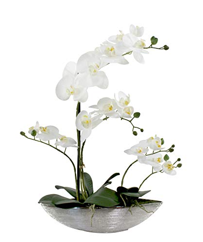 DARO DEKO Kunst-Pflanze Orchidee Schiffchen Topf Silber glänzend und weiße Blüten 53cm hoch DARO DEKO Kunst-Pflanze Orchidee Schiffchen Topf Silber glänzend und weiße Blüten 53cm hoch von DARO DEKO