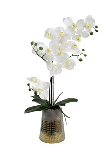 DARO DEKO Kunst-Pflanze Orchidee konischer Topf grau Gold und weiße Blüten 58cm hoch von DARO DEKO