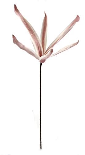DARO DEKO Kunstblume 100cm Schilf in alt-rosa 1 Stück von DARO DEKO