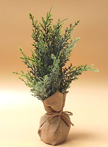 DARO DEKO Kunstpflanze Konifere eingetopft im Jute-Sack 13 x 36cm künstliche Zypresse Lebensbaum Thuja von DARO DEKO