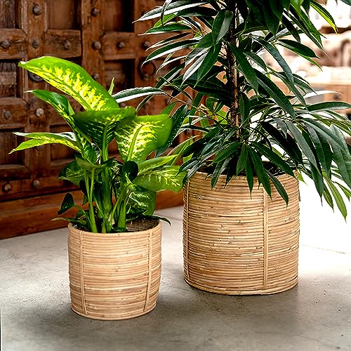 DARO DEKO Rattan Korb Topf Ø 31 x 31cm rund Blumentopf geflochten Aufbewahrungskorb Übertopf Blumenkorb von DARO DEKO