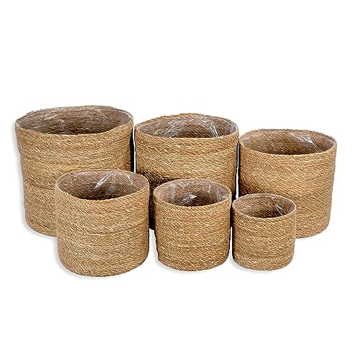 DARO DEKO Seegras Korb rund Natur 6er Set mit Einsatz Blumentopf geflochten Aufbewahrungskorb Über-Topf Blumenkorb von DARO DEKO