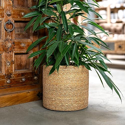 DARO DEKO Seegras Korb rund Natur Ø 19 x 17 mit Einsatz Blumentopf geflochten Aufbewahrungskorb Über-Topf Blumenkorb von DARO DEKO
