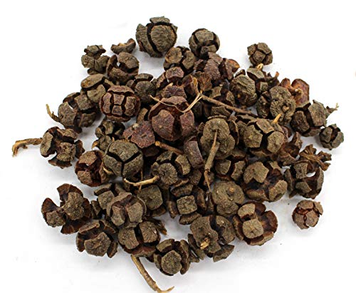 DARO DEKO Streudeko Bastel-Material Früchte Natur 1 Set von DARO DEKO