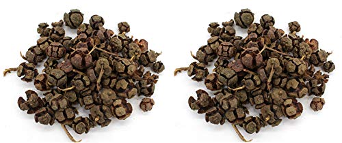 DARO DEKO Streudeko Bastel-Material Früchte Natur 2 Sets von DARO DEKO