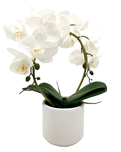 DARO DEKO Kunst-Pflanze Orchidee (runder Topf weiß Hochglanz und weiße Blüten 36cm) von DARO DEKO