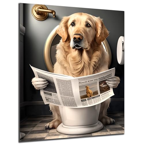DARO Design - Toiletten-Bild auf 6mm HDF 30x20 cm Golden Retriever Hund auf WC - Wand-Deko Bilder Lustiges Geschenk von DARO Design
