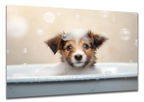DARO Design - Toiletten-Bild auf 6mm HDF 30x20 cm Hunde-Welpe Terrier in der Badewanne - Wand-Deko Bilder Lustiges Geschenk von DARO Design