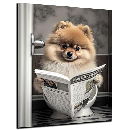 DARO Design - Toiletten-Bild auf 6mm HDF 30x20 cm Pomeranian Hund auf WC - Wand-Deko Bilder Lustiges Geschenk von DARO Design